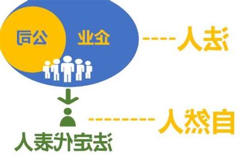 代表法人 意思